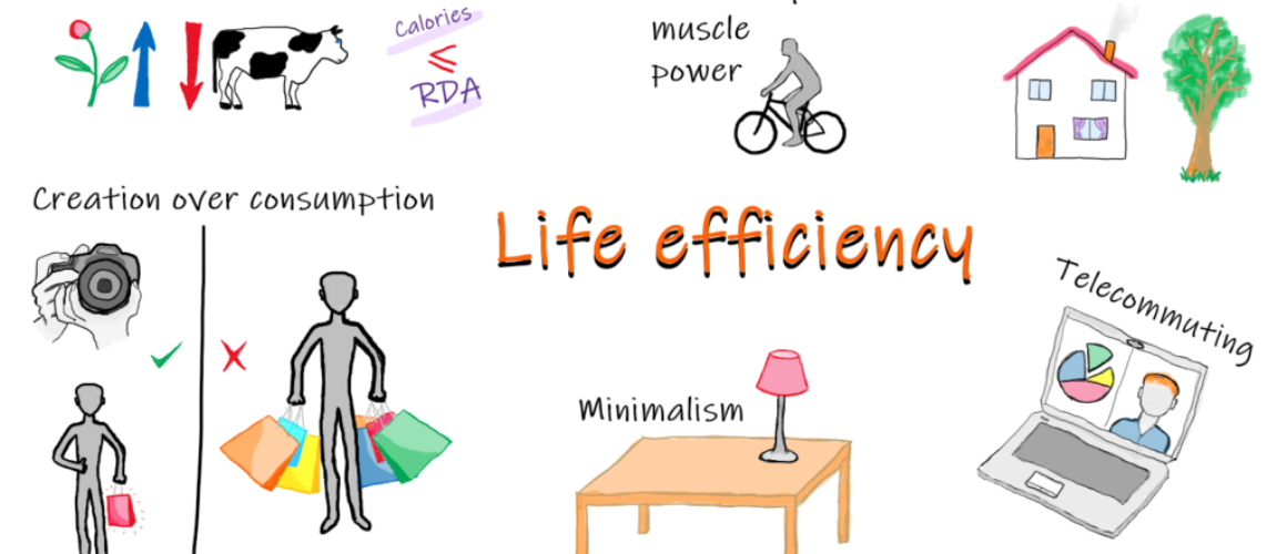 Life efficiency